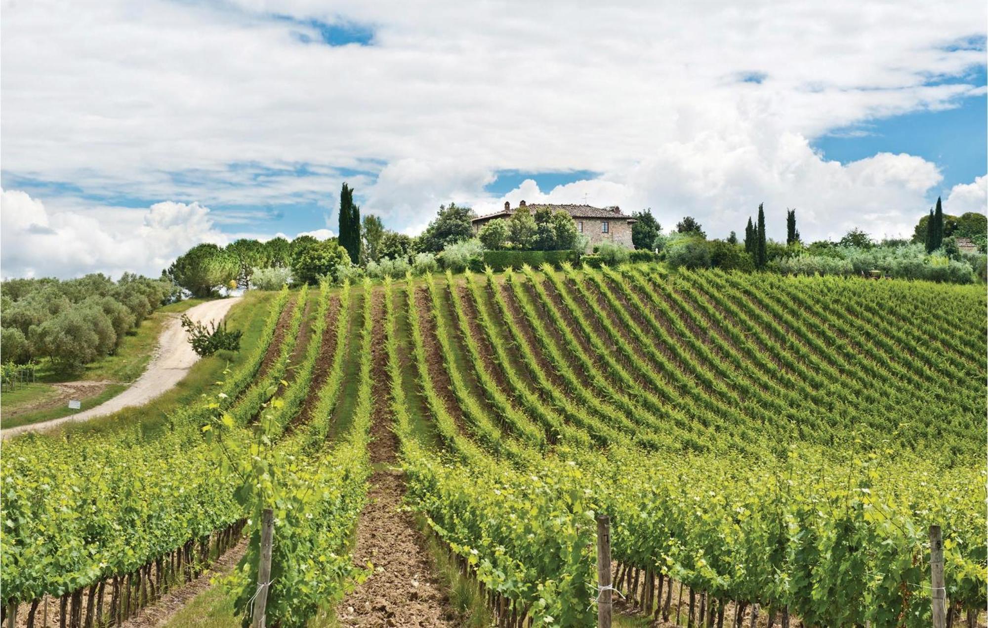 Piazzale 2 Daire Castellina in Chianti Dış mekan fotoğraf