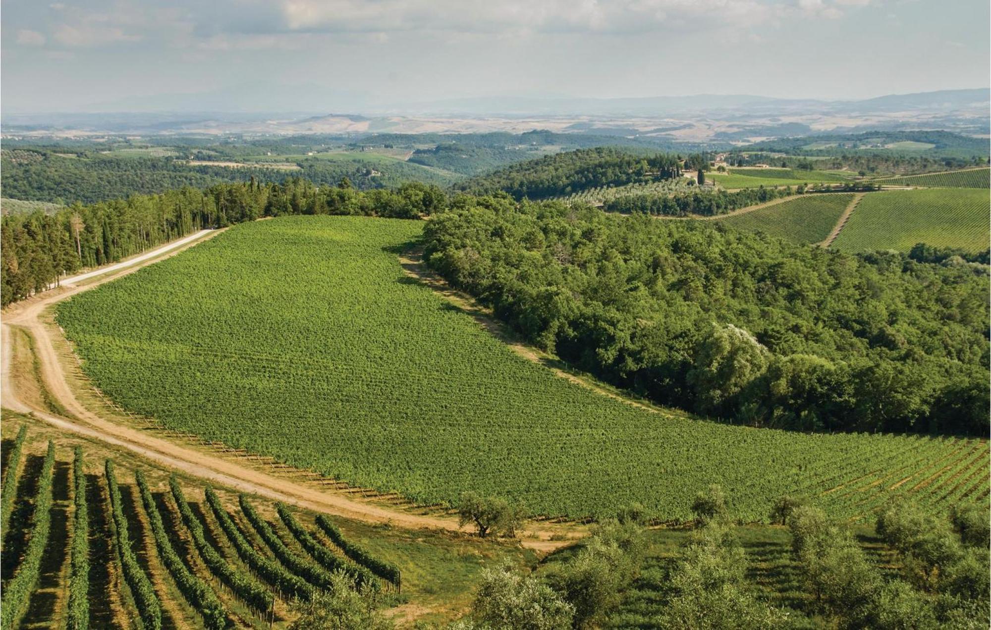 Piazzale 2 Daire Castellina in Chianti Dış mekan fotoğraf